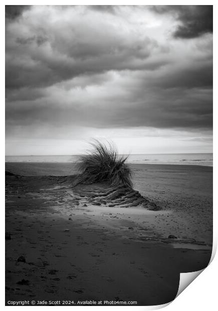 Cloudy day in lunan bay Print by Jade Scott