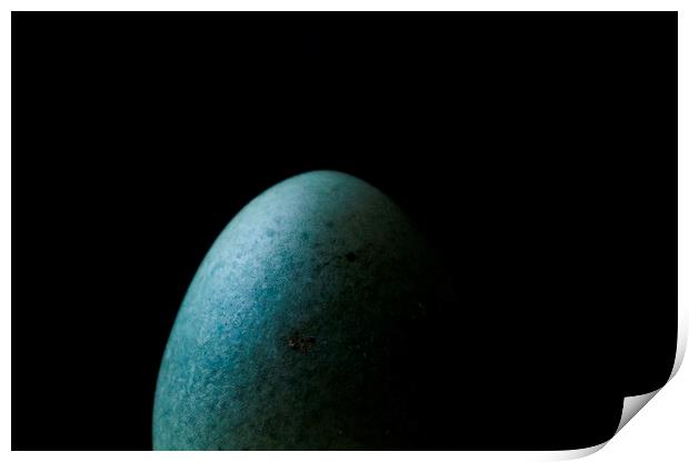 Duck egg Print by Jade Scott