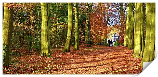  Autumn leaves at The Old Hall Print by Rob Medway