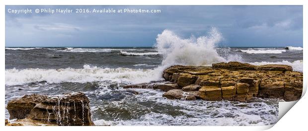 Making a Splash............. Print by Naylor's Photography