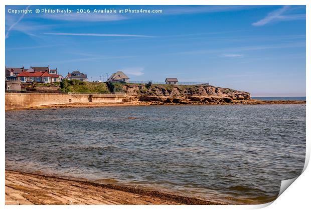 View North across Cullercoats Bay Print by Naylor's Photography