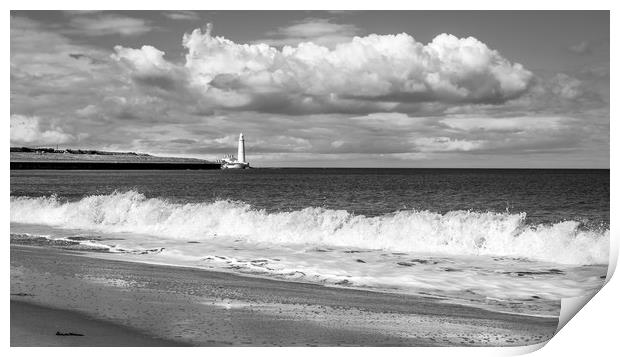 Beach view of St. Marys Lighthouse  Print by Naylor's Photography