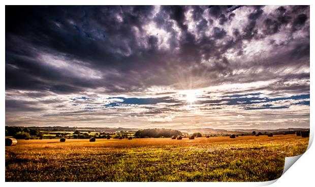 Farming Beauty........ Print by Naylor's Photography