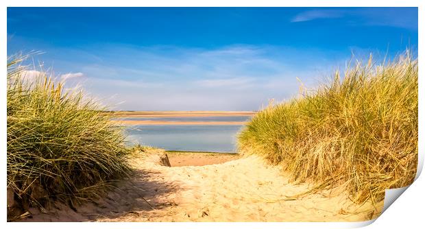 Through the dunes over to Budle Bay Print by Naylor's Photography