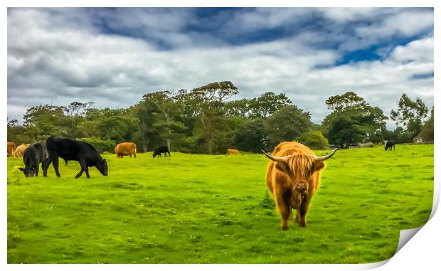 You looking at me ? Print by Naylor's Photography