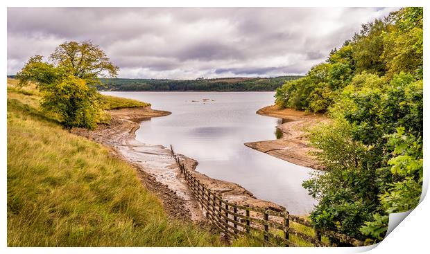 Lakeside walk in Kielder  Print by Naylor's Photography