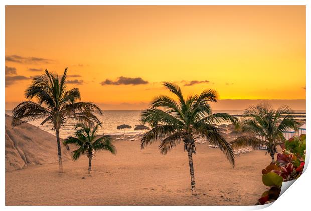 Palm Tree Beach  Print by Naylor's Photography