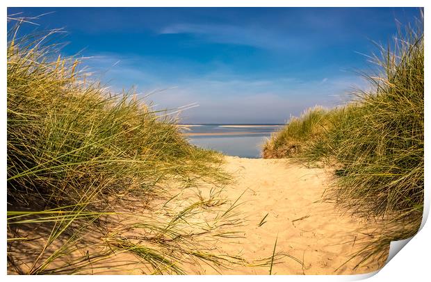 Golden Sandy Dunes Print by Naylor's Photography