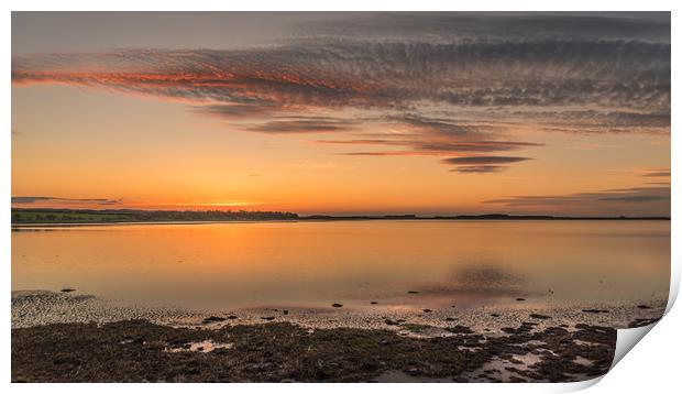 Northumberland Beauty Print by Naylor's Photography