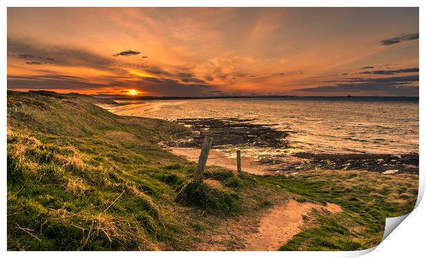 Path to the Sun Print by Naylor's Photography