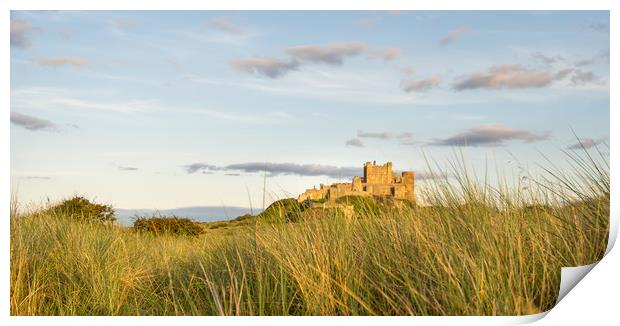 Castle through the dunes Print by Naylor's Photography