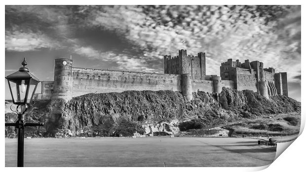 Castle from the Field Print by Naylor's Photography