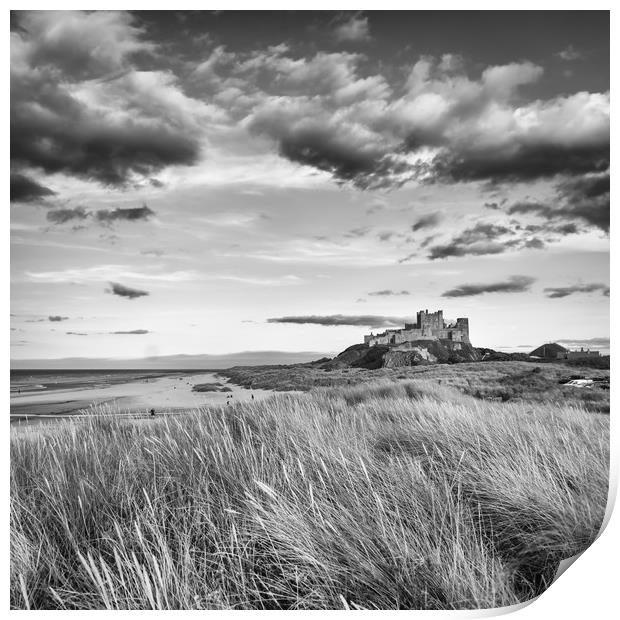 Mighty and Proud in Mono Print by Naylor's Photography
