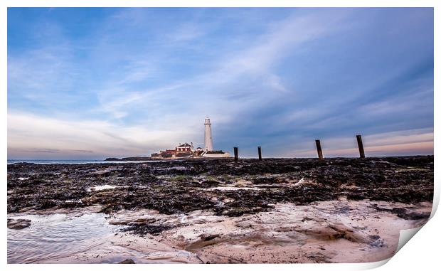 St. Mary's Lighthouse in Whitley Bay Print by Naylor's Photography