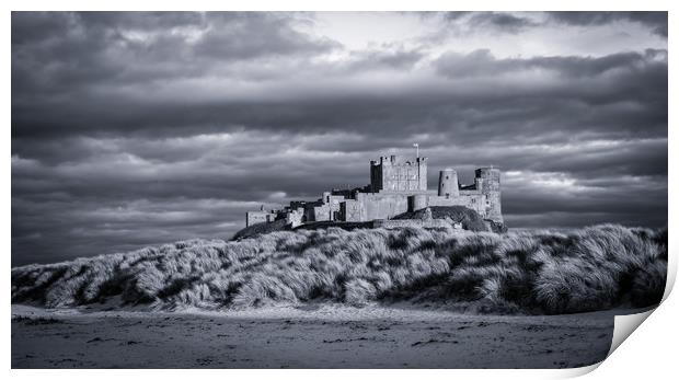 Our beautiful castle Print by Naylor's Photography