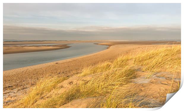 Wispy Dunes at Budle Bay Print by Naylor's Photography
