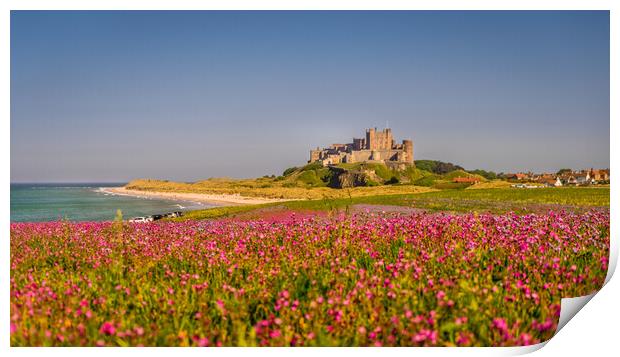 Bamburgh Castle from far afield Print by Naylor's Photography