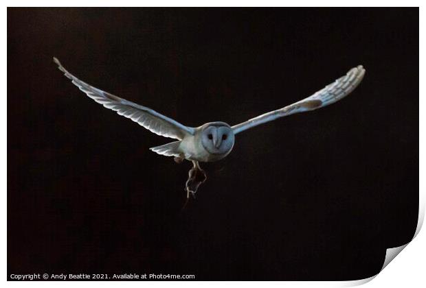 Barn Owl with Field Vole Print by Andy Beattie