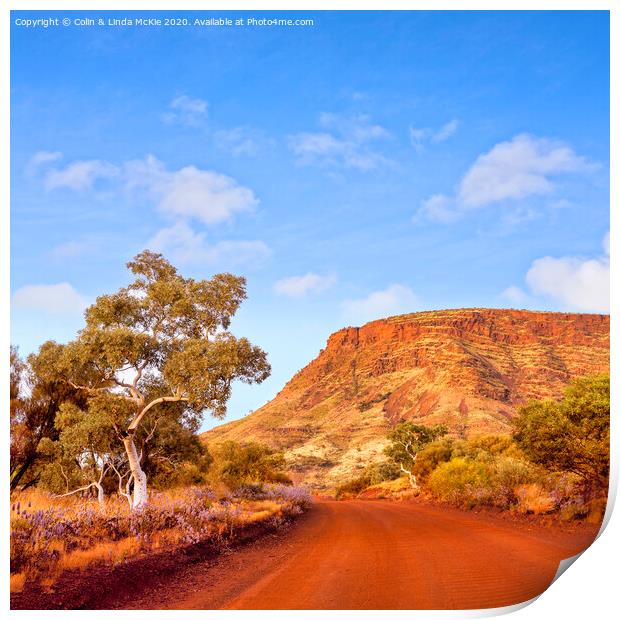 Mount Nameless, Western Australia Print by Colin & Linda McKie