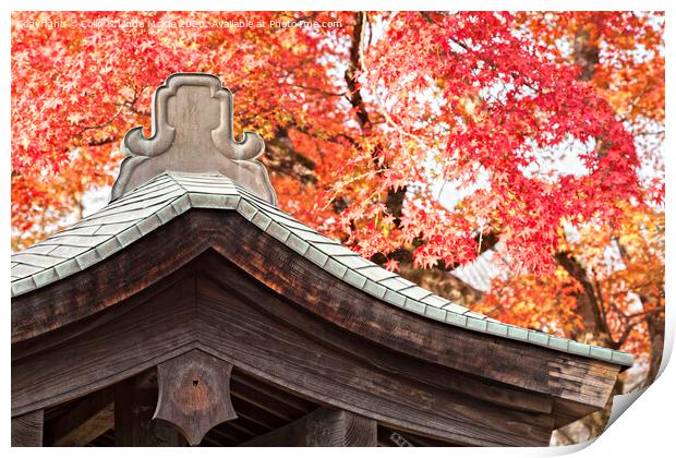 Shrine Roof and Autumn Leaves, Arashiyama, Kyoto Print by Colin & Linda McKie