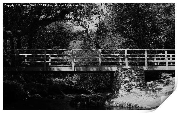  Aira Beck Bridge Print by James Wood