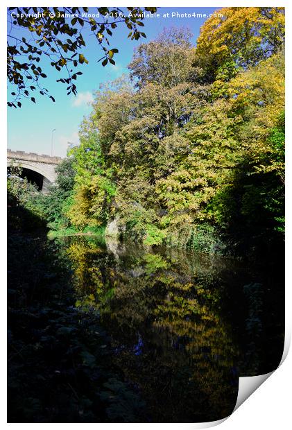 Water of Leith and Belford Rd. Bridge Print by James Wood