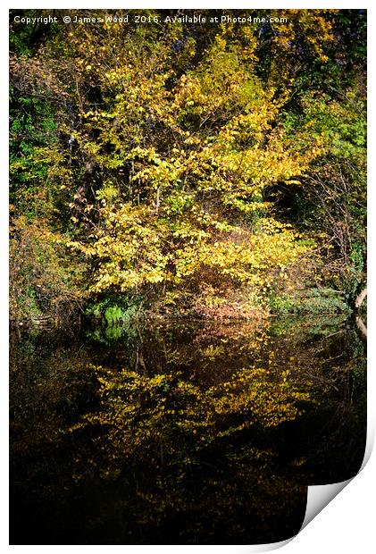 Autumn Reflections Print by James Wood