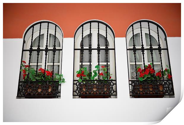  Windows in Nerja, Spain Print by Ann McGrath