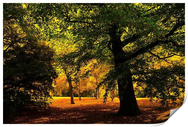  An Autumn Evening in Edinburgh Print by Ann McGrath