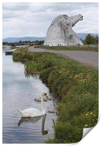  the Kelpies in Helix Park , Scotland   Print by Photogold Prints