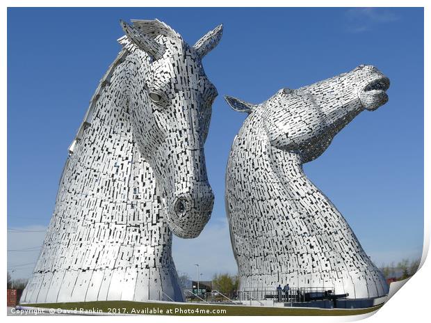 The Kelpies sculptures in Falkirk  Print by Photogold Prints
