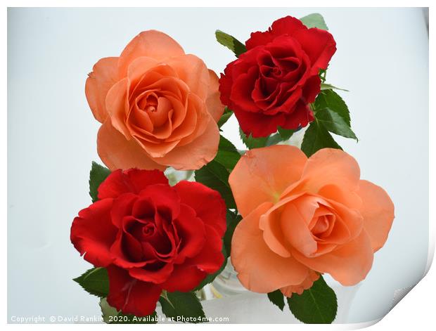 two red roses, two orange roses Print by Photogold Prints