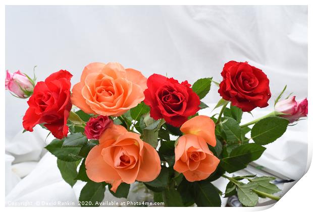 three red roses and three orange roses bouquet Print by Photogold Prints