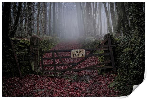 Forbidden Woods Print by John Baker