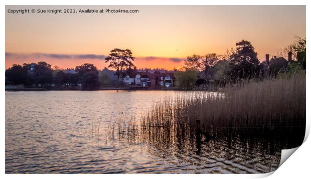 The sun rising over Beaulieu Millpond Print by Sue Knight