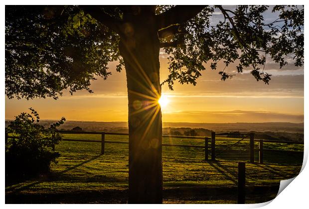 A Golden Sunset Over The Blackmore Vale Valley Print by Sue Knight