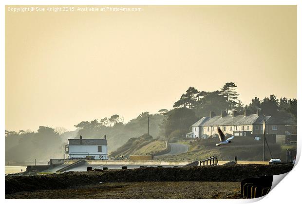  Coastguard cottages and boat house at Lepe, Hamps Print by Sue Knight