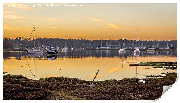  View across the Beaulieu River Print by Sue Knight