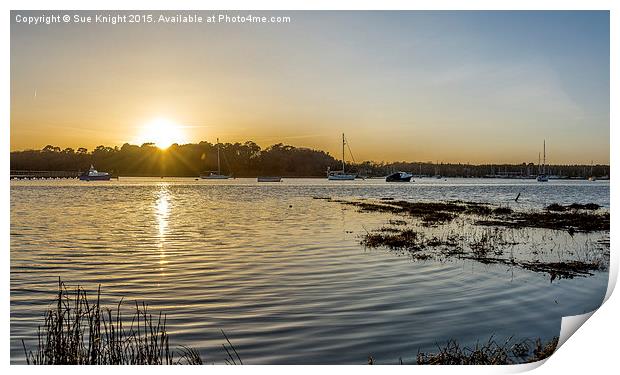  Beaulieu River sunset Print by Sue Knight