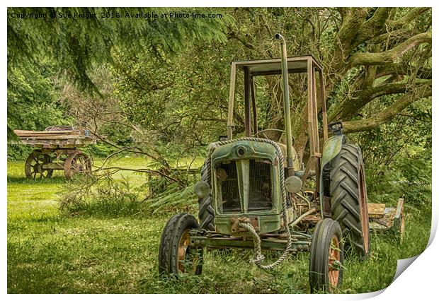 Abandoned Tractor amongst woodland Print by Sue Knight