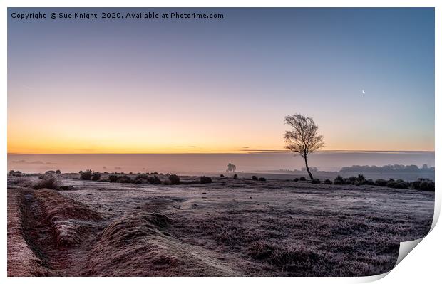 Ipley Sunrise, New Forest Print by Sue Knight