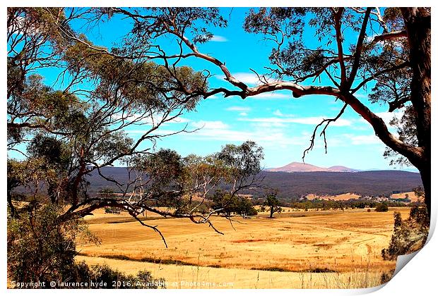 Outback Harvest field Print by laurence hyde