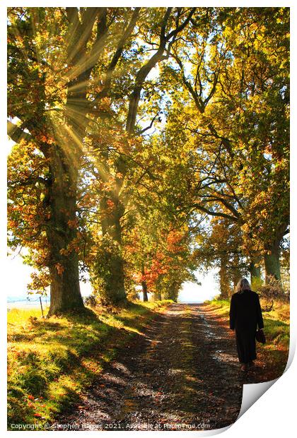 Autumn Morning Walk Print by Stephen Hamer