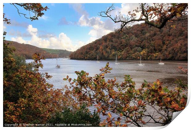 River Dart in Autumn Print by Stephen Hamer