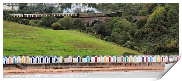 The Age of Steam Print by Stephen Hamer