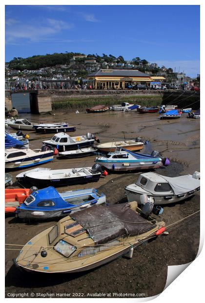 Dartmouth Harbour and  Railway Station Print by Stephen Hamer