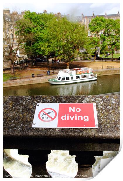 No Diving Print by Stephen Hamer