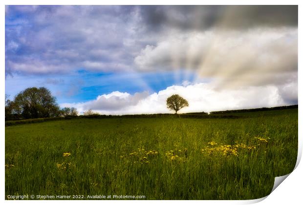 Majestic Solitude Print by Stephen Hamer