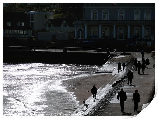 Seaside Silhouettes Print by Stephen Hamer