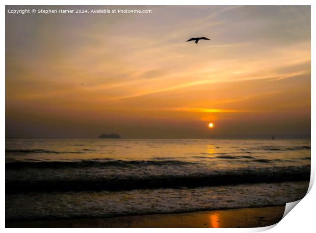 Sunrise and Seagull Silhouette Print by Stephen Hamer